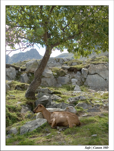 Sept 06 Tarbes - Ballade gaubie 09